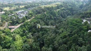 Tanah Premium 5,3 Hektar di Ubud View Alam & Sungai