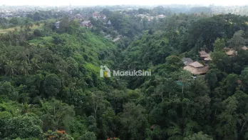 Tanah Premium 5,3 Hektar di Ubud View Alam & Sungai