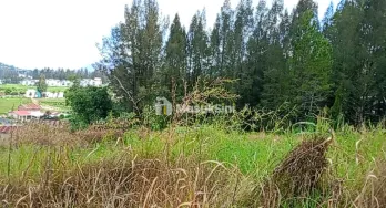 DIJUAL 10.059M² TANAH SHM DI BERASTAGI PECEREN O8I2643O4I89