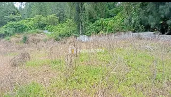 DIJUAL 10.059M² TANAH SHM DI BERASTAGI PECEREN O8I2643O4I89