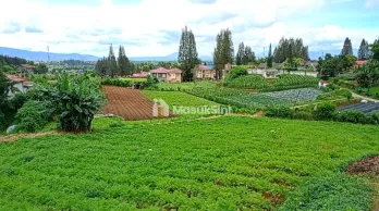 DIJUAL 7.220M² TANAH SHM PREMIUM DI BERASTAGU PECEREN VIEW TERBAIK O8I264304I89