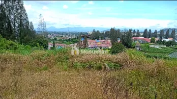 DIJUAL TANAH 10.059M² DI BERASTAGI PECEREN O8I37747OIOO