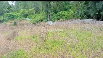 DIJUAL TANAH 10.059M&sup2; DI BERASTAGI PECEREN O8I37747OIOO
