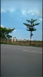 Dijual Tanah Industri di Jalan Raya Tuban-Babat,Kecamatan Widang,Jawa Timur
