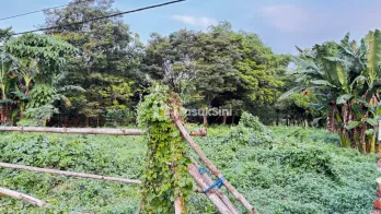 Gudang di Kejayan Pasuruan 1,2 Hektare
