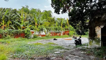 Gudang di Kejayan Pasuruan 1,2 Hektare