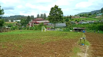 JUAL TANAH BERASTAGI PECEREN 14.236M² SHM O8I37747OIOO