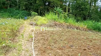 JUAL TANAH BERASTAGI PECEREN 14.236M&sup2; SHM O8I37747OIOO