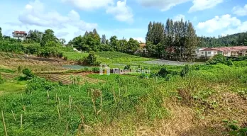 JUAL TANAH DI BERASTAGI 10.080M&sup2; SHM DENGAN VIEW ISTIMEWA O8I37747OIOO