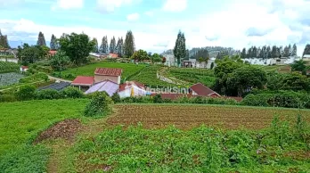 JUAL TANAH PREMIUM DI BERASTAGI PECEREN VIEW TERBAIK O8I2643O4I89