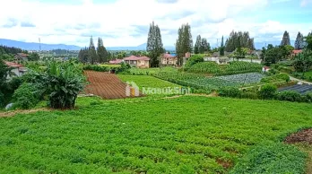 JUAL TANAH PREMIUM DI BERASTAGI PECEREN VIEW TERBAIK O8I2643O4I89