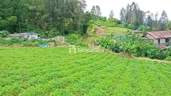 JUAL TANAH PREMIUM DI BERASTAGI PECEREN VIEW TERBAIK O8I2643O4I89