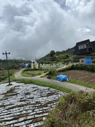 Tanah Area Wisata Dieng Wonsobo