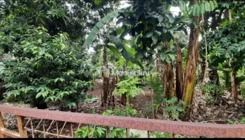 dijual tanah di pamulang tangsel