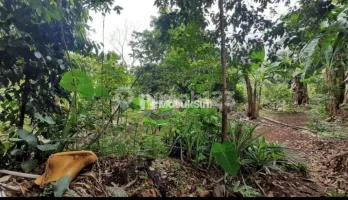 dijual tanah di pamulang tangsel