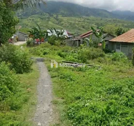 jual beli tanah