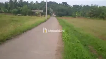 jual tanah kebun