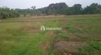 jual tanah kebun