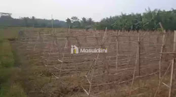 jual tanah kebun