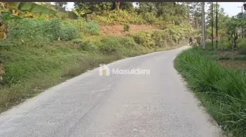 jual tanah kebun murah nempel jalan kabupaten