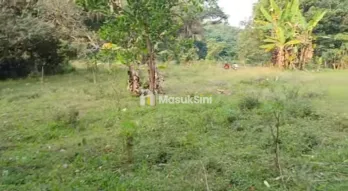 jual tanah kebun murah nempel jalan kabupaten
