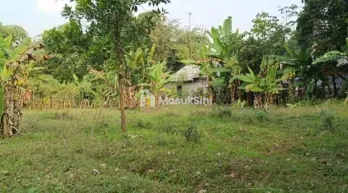 jual tanah kebun murah nempel jalan kabupaten