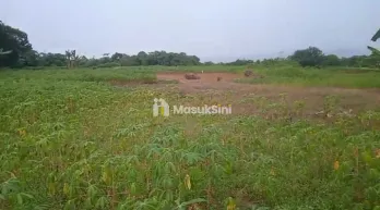 jual tanah kebun udah dipagar keliling