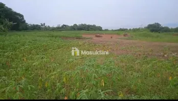 jual tanah kebun udah dipagar keliling