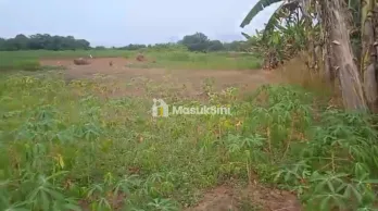 jual tanah kebun udah dipagar keliling