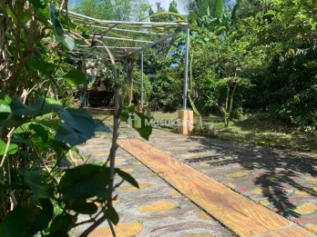 Tanah dekat Jl Hayam Wuruk belakang SMAN 4 Jember
