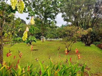 tanah kebun ples rumah vila