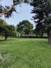TANAH MURAH 2,5HA BOGOR TIMUR KOTA MADYA