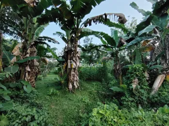 TANAH MURAH 2,5HA BOGOR TIMUR KOTA MADYA