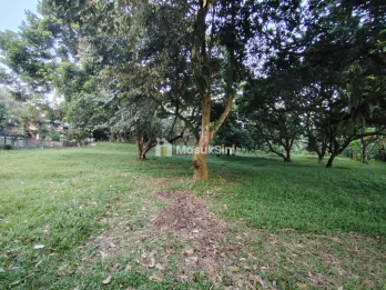 TANAH MURAH 2,5HA BOGOR TIMUR KOTA MADYA
