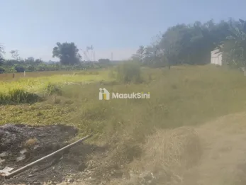 Tanah sawah desa gadung