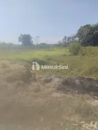 Tanah sawah desa gadung