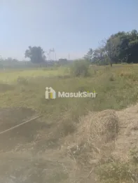 Tanah sawah desa gadung