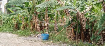 di jual cepat tanah kosong di jatirangon