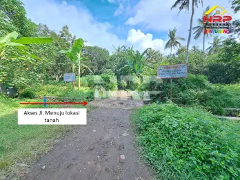 Dijual tanah kebun 2,6 hektar harga 90 ribu/meter di Kabat Banyuwangi