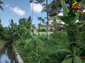 Dijual tanah kebun 2,6 hektar harga 90 ribu/meter di Kabat Banyuwangi