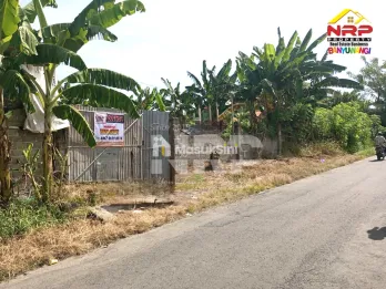 Dijual Tanah Kering Strategis Dekat Jalan Utama Dadapan – Banyuwangi