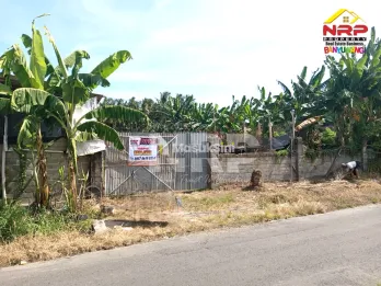 Dijual Tanah Kering Strategis Dekat Jalan Utama Dadapan – Banyuwangi