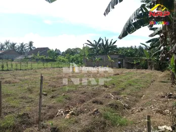 Dijual Tanah Kering Strategis Dekat Jalan Utama Dadapan – Banyuwangi