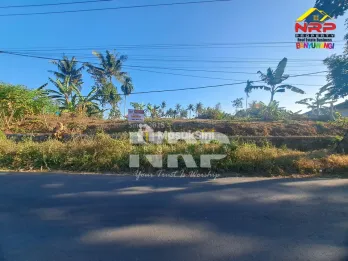 Dijual tanah murah di Jl Tambong Kabat banyuwangi