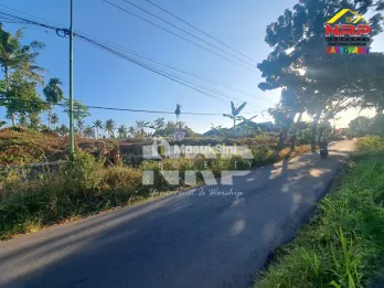 Dijual tanah murah di Jl Tambong Kabat banyuwangi
