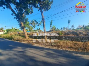 Dijual tanah murah di Jl Tambong Kabat banyuwangi