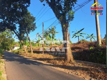 Dijual tanah murah di Jl Tambong Kabat banyuwangi