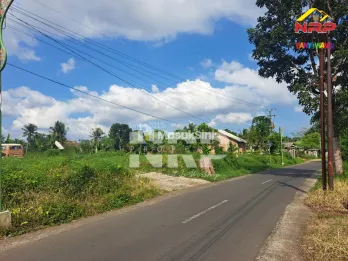 Dijual Tanah Prospek di Kawasan wisata Tamansuruh Banyuwangi