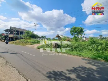 Dijual Tanah Prospek di Kawasan wisata Tamansuruh Banyuwangi