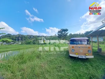 Dijual Tanah Prospek di Kawasan wisata Tamansuruh Banyuwangi